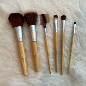 4 for $45! SET of Cala brushes